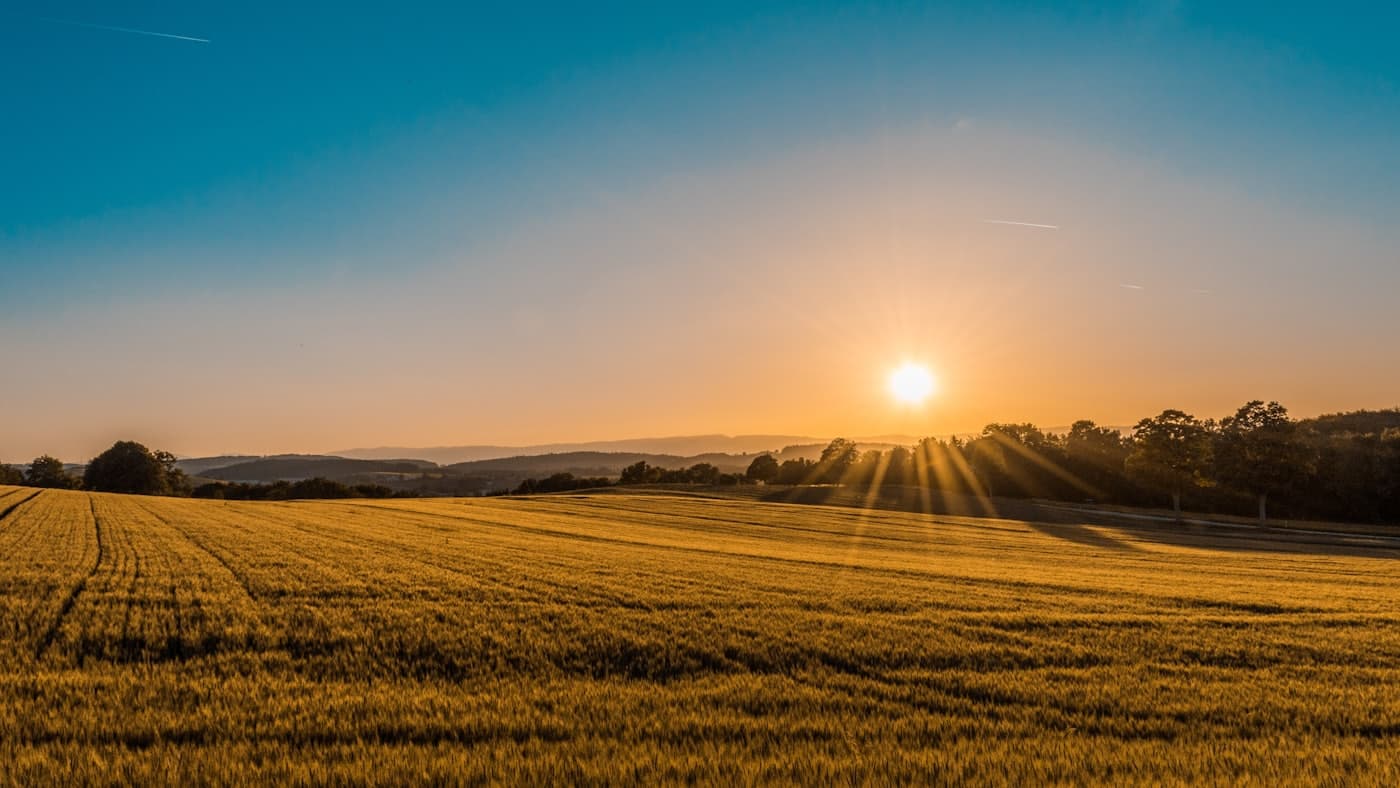 Open farmland stretching to a distant treeline with the sun low on the horizon casting long rays